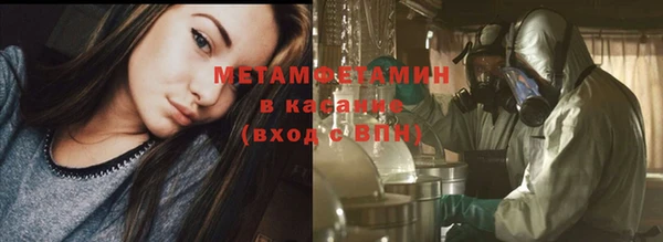 трава Аркадак